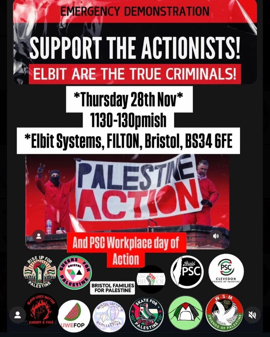 SUPPORT THE ACTIONISTS!