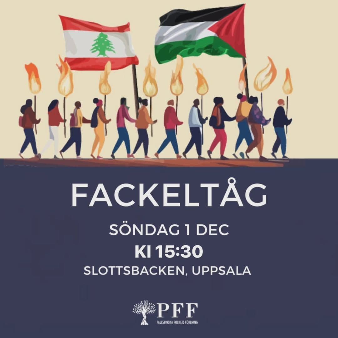 Fackeltåg för Palestina och Libanon
