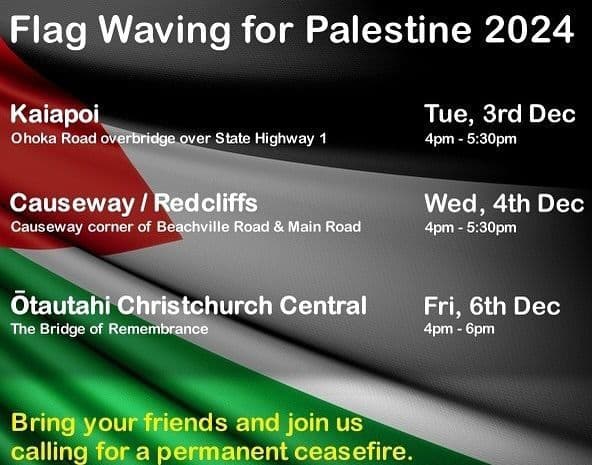 Flag Waving for Palestine 2024 (Kaiapoi)