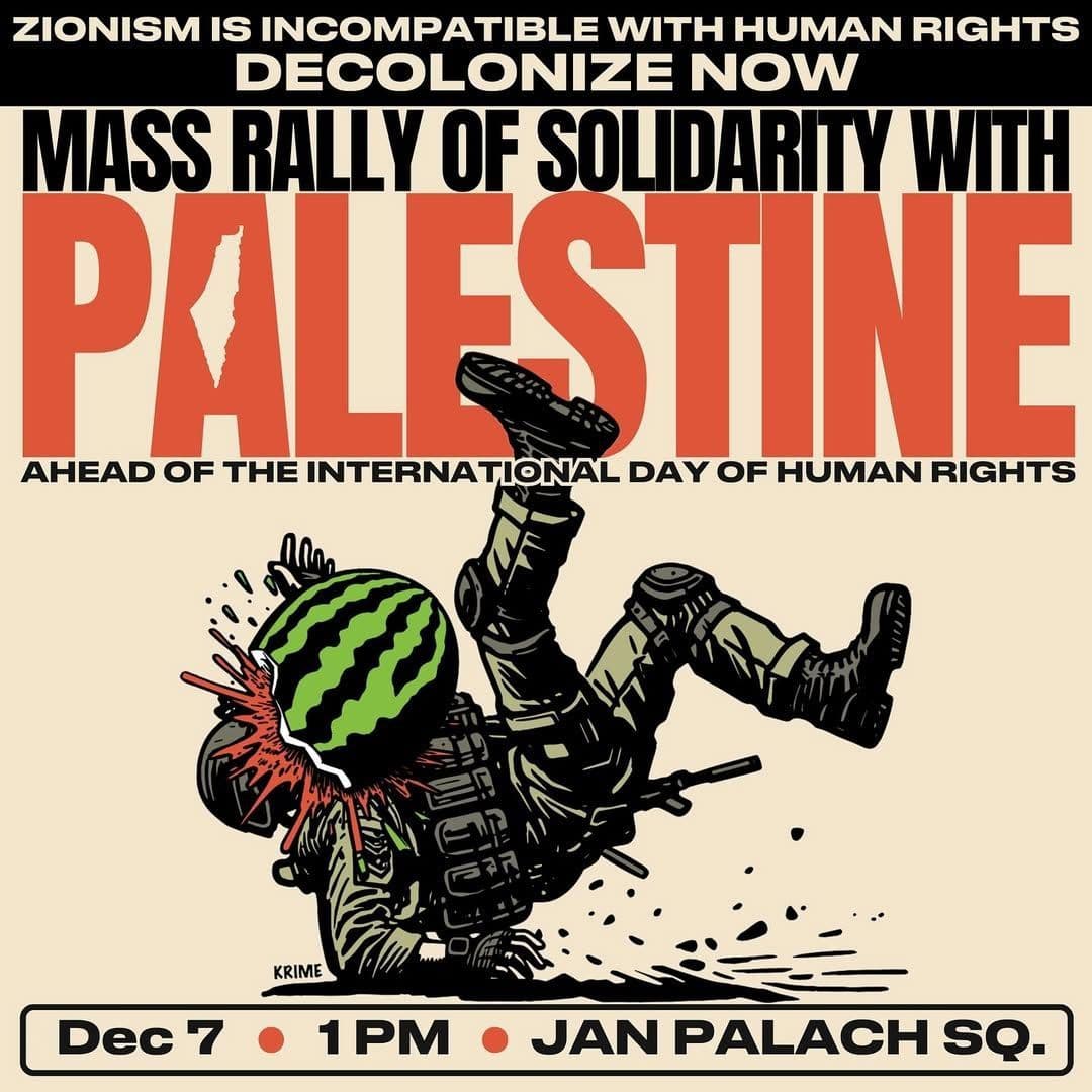 MASS RALLY OF SOLIDARITY WITH PALESTINE