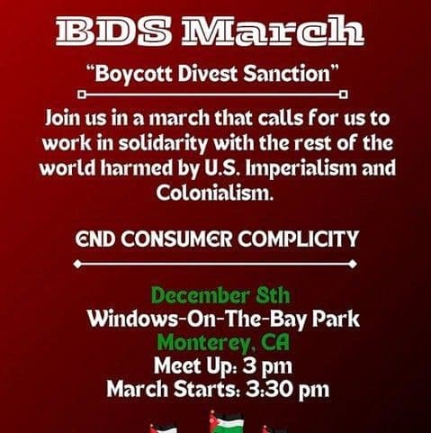 BDS March "Boycott Divest Sanction"