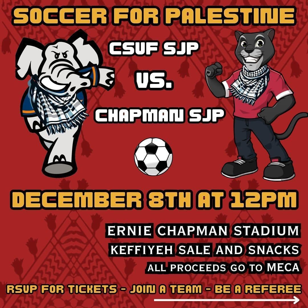 SOCCER FOR PALESTINE