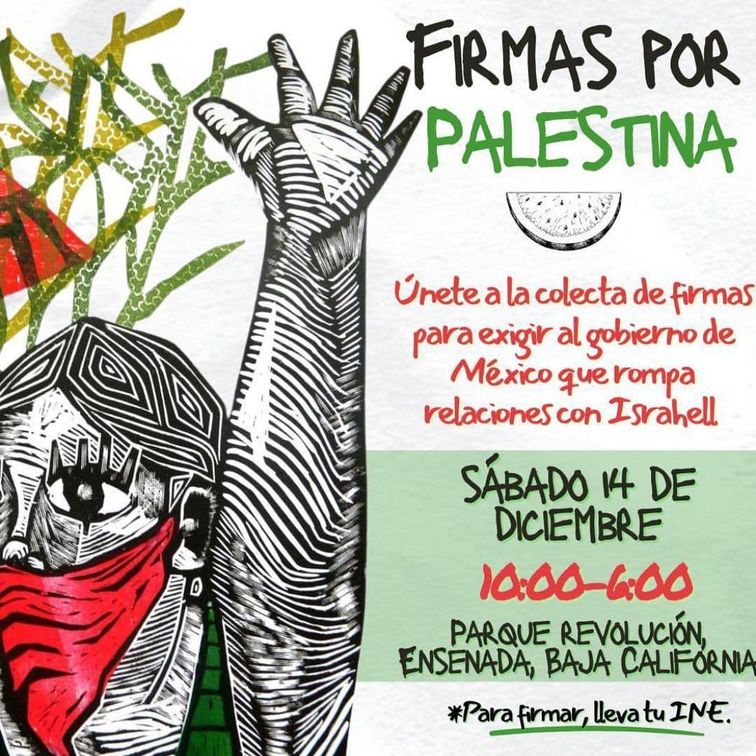 FIRMAS POR PALESTINA