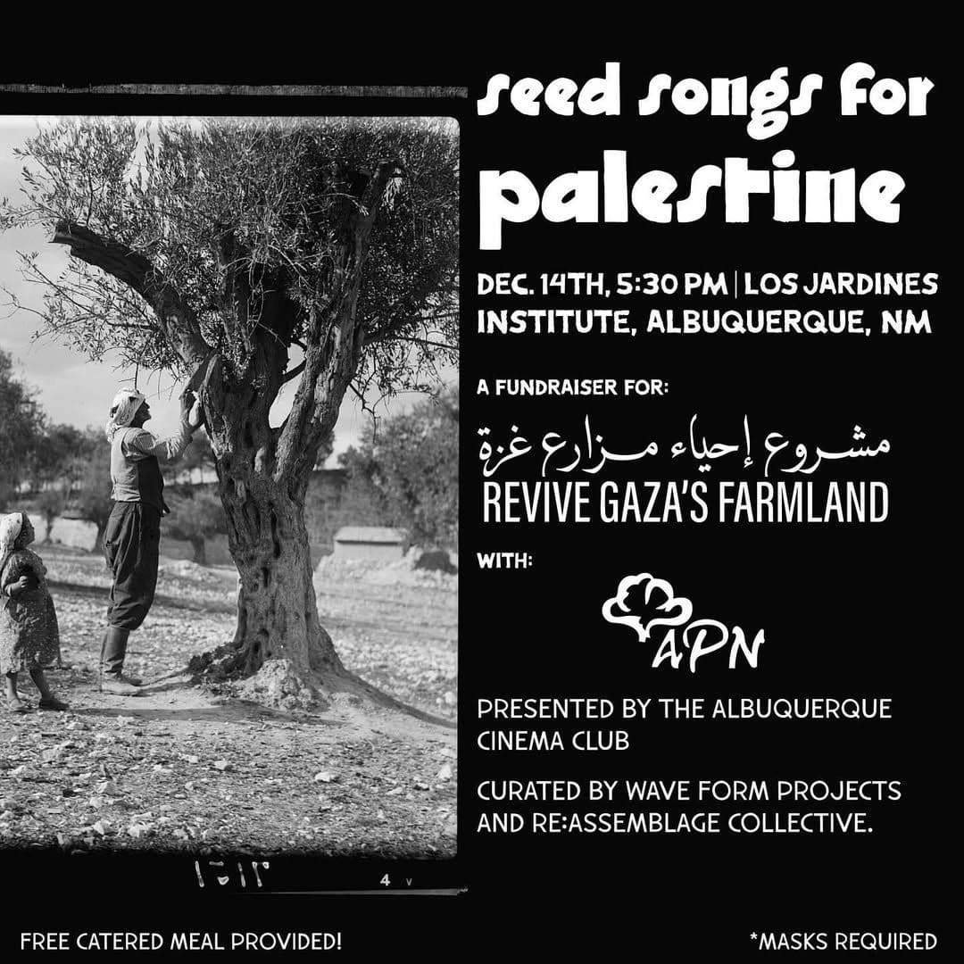seed songs for palestine
