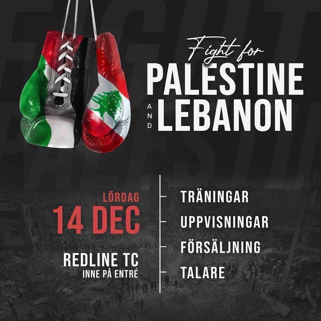 FIGH FOR PALESTINE AND LEBANON