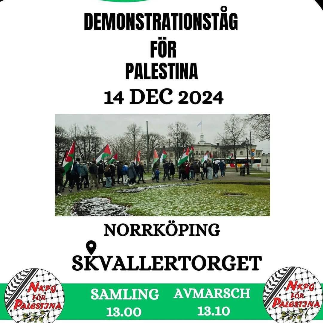 DEMONSTRATIONSTÄG FÖR PALESTINA