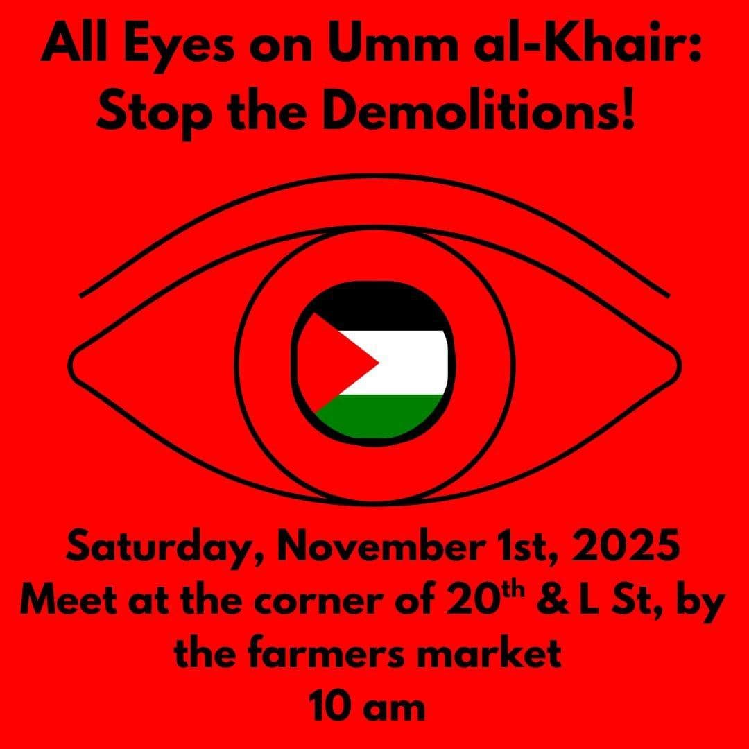 All Eyes on Umm al-Khair: Stop the Demolitions!