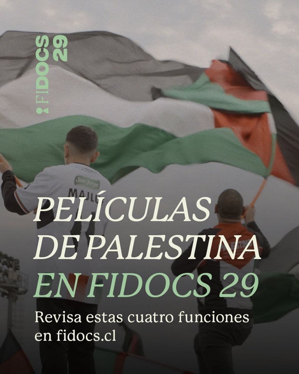PELÍCULAS DE PALESTINA EN FIDOCS 29