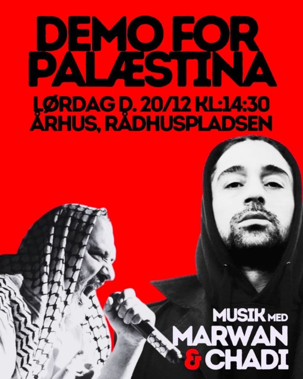 DEMO FOR PALESTINA