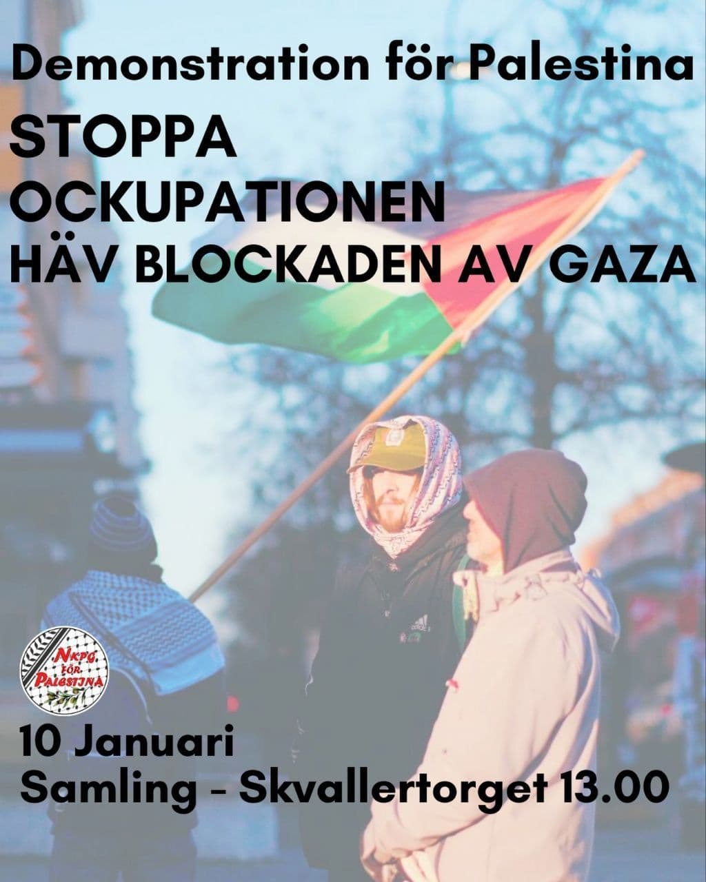 Demonstration för Palestina