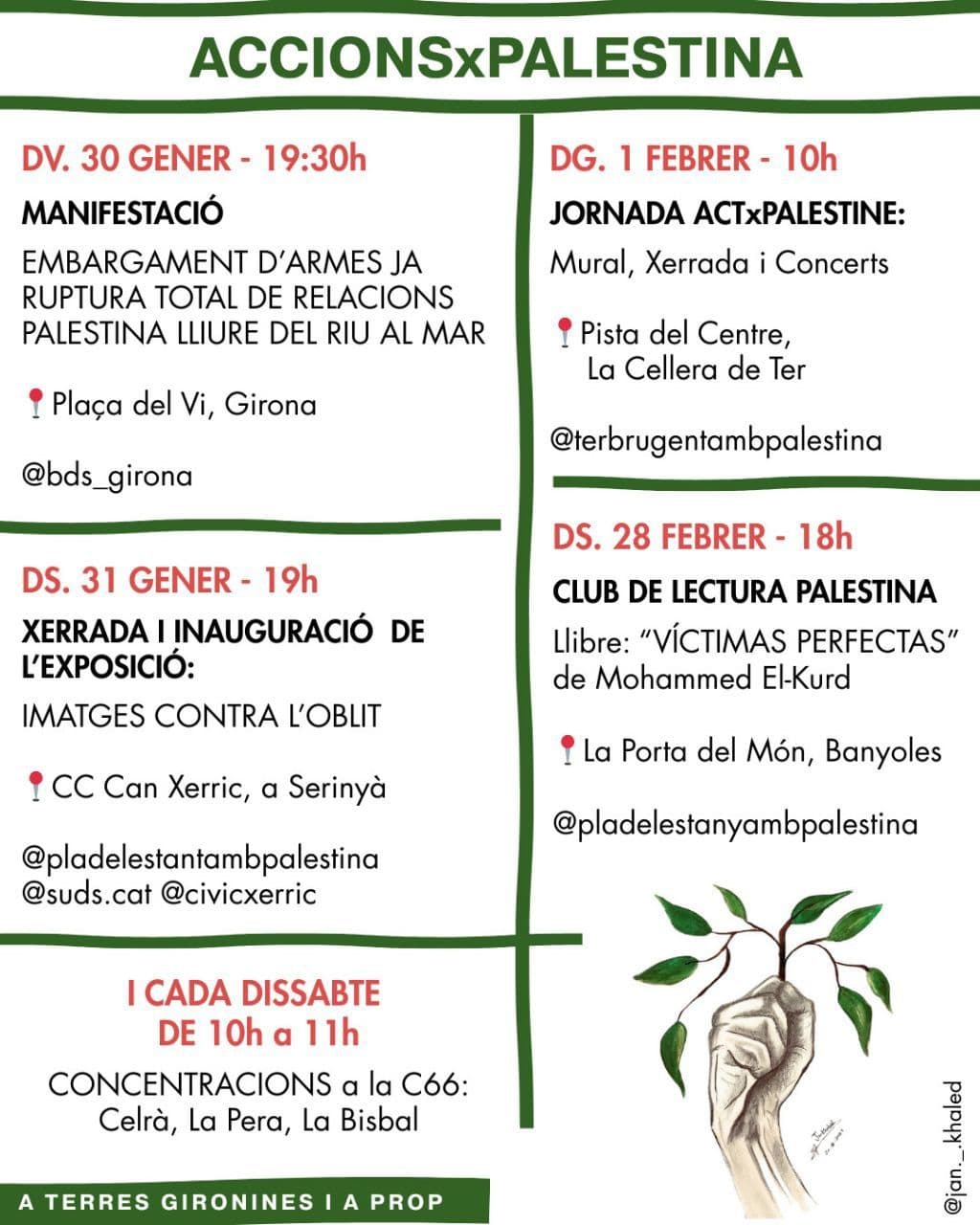 ACCIONS x PALESTINA / Serinya