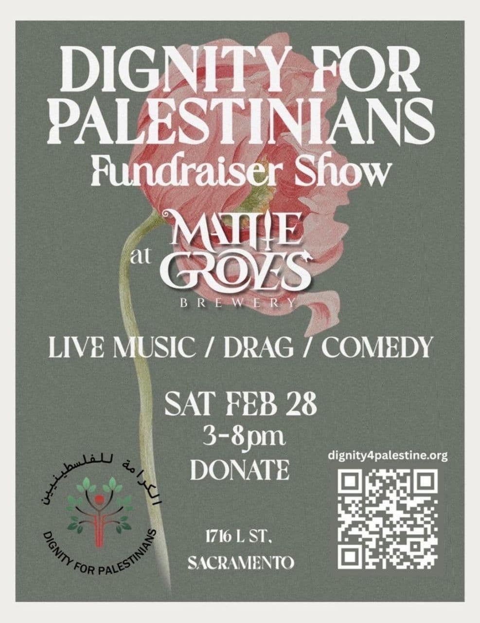 DIGNITY FOR PALESTINIANS Fundraiser Show
