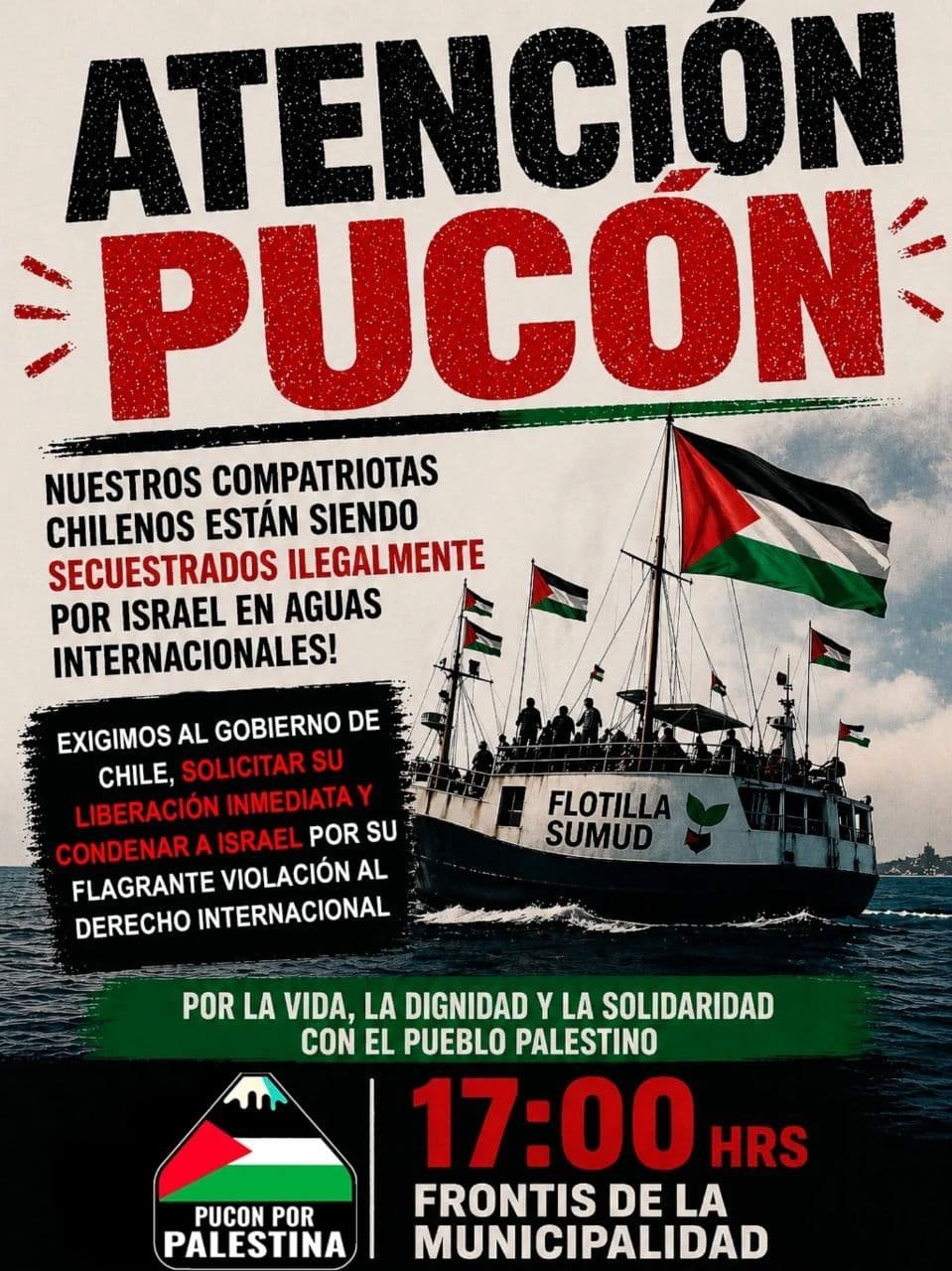 ATENCION PUCON